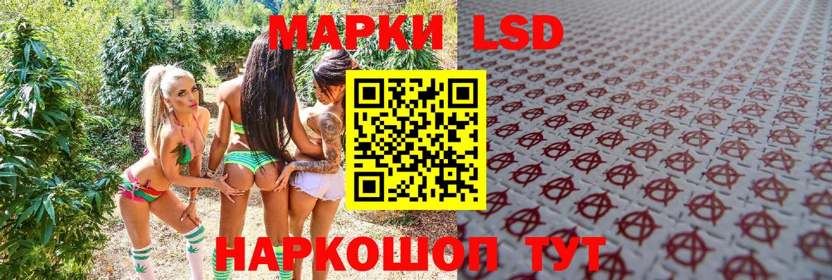 Мурино  Марки NBOMe  Марки NBOMe 1,5мг  Вход с VPN  Марки NBOMe 1,5мг 